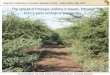 The spread of Prosopis Juliflora in Baadu, Ethiopia from a ...phpiV74as.pdfSimone Rettberg, University of Bonn,and Yohannes Ayanu, University Bayreuth The spread of Prosopis Juliflora