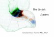 The Limbic System · 2017-12-11 · Limbic System From a functional point of view the term limbic system includes the structures that are involved in emotional processing, behavioral
