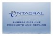 SUBSEA PIPELINE PRODUCTS AND REPAIRS - …entagral.com/Entagral_Lunch_and_Learn.pdfSUBSEA PIPELINE PRODUCTS AND REPAIRS • 75 Years combined industry experience amongst the three