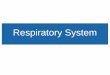 Respiratory System - bccbiology.weebly.com · Respiratory system function • Respiratory systems allow animals to move oxygen (needed for cellular respiration) into body tissues