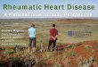 Rheumatic Heart Disease - RANZCOG .Rheumatic Heart Disease . A National (international) Perspective