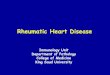 Rheumatic Heart Disease - • Up to 60% of patients with ARF progress to Rheumatic Heart Disease (RHD)