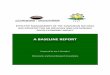 A BASELINE REPORT - ESRFesrf.or.tz/docs/NGBRRe.pdf · effective management of the tanzanian natural gas industry for an inclusive and sustainable socio-economic impact a baseline