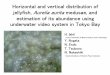 Horizontal and vertical distribution of jellyfish, … and vertical distribution of jellyfish, Aurelia aurita medusae, and estimation of its abundance using underwater video system