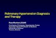 Pulmonary Hypertension Diagnosis and Therapy Hypertension Diagnosis and Therapy Franz Rischard, DO, MS Co-director, Pulmonary Hypertension Center Associate Clinical Professor of Medicine
