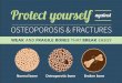 Protect yourself againstshare.iofbonehealth.org/WOD/2016/infographics/2016-infographics-print.pdf · osteoporosis 1/3 of vertebral fractures only come to clinical attention of people