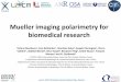 Mueller imaging polarimetry for biomedical imaging   · Mueller imaging polarimetry for