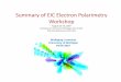 Summary of EIC Electron Polarimetrylorenzon/research/misc/PSTP-EIC-9-2007.pdfPolarimeter Roundup Laboratory Polarimeter Relative precision Dominant systematic uncertainty JLab 5 MeV