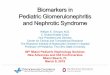 Biomarkers in Pediatric Glomerulonephritis and Nephrotic ...pediatrics.med.miami.edu/documents/William_Smoyer_-_Biomarkers_in... · Biomarkers in Pediatric Glomerulonephritis and