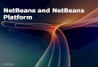 NetBeans and NetBeans Platform - d3s.mff.cuni.czhnetynka/teaching/netbeans/2017/nb-ecl-03.pdf · 5 Extending NetBeans • Possibilities > single module > suite of modules > standalone