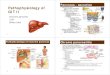 GIT II en.ppt - med.muni.cz · • peripheral portobiliar “trias” • liver acinus is basic functional unit • part of the tissue supplied by branches of one circumlobular vein