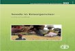 Seeds in Emergencies - fao.org · FAO PLANT PRODUCTION AND PROTECTION PAPER 202 Seeds in Emergencies: A technical handbook This publication has been a team effort of the Seed and