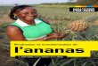 Production et transformation de l’ananasagro-planet.e- On en extrait de l’acide citrique utilisé