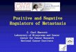 Positive and Negative Regulators of Metastasis · tumor size invasion diagnosis primary tumor metastases angiogenesis inherited risk dysplasia ca-in-situ acquired risk chemoprevention