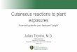 Cutaneous reactions to plant exposures .Chemical irritant dermatitis Bulb dermatitis from calcium