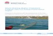 Shark Meshing (Bather Protection) Prgram 2012-13 Annual ... · Shark Meshing (Bather Protection) Program 201213 Annual Performance Report- 1 NSW Department of Primary Industries,