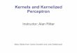 Kernels and Kernelized Perceptron - GitHub Pagesaritter.github.io/courses/5523_slides/kernels.pdf · Kernels and Kernelized Perceptron Instructor: Alan Ritter Many Slides from Carlos
