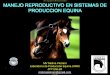 MV Melina Pietrani Laboratorio de Producción Equina UNRC ...produccion-animal.com.ar/produccion_equinos/... · •Disminución costos preñez/yegua •Incremento del precio de venta