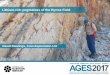 Lithium-rich pegmatites of the Bynoe Field - dpir.nt.gov.au · LITHIUM-RICH PEGMATITES OF THE BYNOE FIELD . David Rawlings AGES Conference Alice Springs March 2017