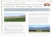 Sage Grouse Initiative Rancher Success Story Masini Family ... · Sage Grouse Initiative - Rancher Success Story Masini Family ryan Masini is a great guy. He’s all for saving the