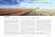 MILESTONES - L'aquila Signorina / Terzadecadeterzadecade.it/download/cesare_maltoni/11 - Nature - Milestones in oncogenesis and... · The hypothesis that viruses can cause cancer
