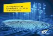 Singapore Budget 2019 Synopsis - ey.com · approach from 1 January 2020. Digitalisation affords companies an opportunity to rethink their mode of operations and do things differently