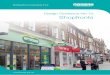 Design Guidance No.10 Shopfrontsdea6bef6-630e... · which can do so much to spoil the special character of a place. These standard shopfronts are often promoted as being suitable