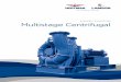 BLOWERS / EXHAUSTERS Multistage Centrifugal .HOFFMAN & LAMSON | MULTISTAGE CENTRIFUGAL Hoffman®