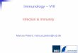 Infection & Immunity - ruhr-uni-bochum.de fileTherefore the virus can not be easily recognized by the immune system • Activation of T-lymphocytes by Interleukin-2 produces new virus