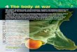 4 The body at war - wiley.com · Protozoa Fungi Prions Mental Chemical (metabolic) Cancer Ageing Thrush Tinea Ringworm Liver ˚uke Louse Tapeworm Malaria Giardiasis Botulism Tetanus
