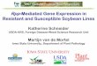 Rpp-Mediated Gene Expression in Resistant and Susceptible ... · Rpp-Mediated Gene Expression in Resistant and Susceptible Soybean Lines Katherine Schneider USDA-ARS, Foreign Disease-Weed
