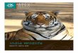India Wildlife Safari | Brochure 2020 | Apex Expeditions · Greater One-horned Rhinoceros, Bengal Tiger Travelers throughout history have feasted their senses on India’s intoxicating