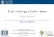 Filippo Bussotti TreeCity - unipi.ittreecity.agr.unipi.it/wp-content/uploads/2014/11/31.pdf · Ecophysiology of urban trees Filippo Bussotti Dept. Agri-Food Production and Environmental