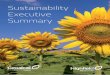 Sustainability Executive Summary - Geoalcali · 6 Sustainability Executive Summary 2017 Corporate Social Responsibility Certificates As part of Geoalcali´s strong commitment to Corporate