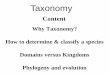 Why Taxonomy?Why Taxonomy? How to determine & classify a ... · Taxonomy Content Why Taxonomy?Why Taxonomy? How to determine & classify a species Domains versus KingdomsDomains versus