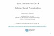 Basic Seminar WS 2014 Cellular Signal Transduction · 1 Basic Seminar WS 2014 Cellular Signal Transduction Johannes A. Schmid Medical Univ. Vienna Center for Physiology and Pharmacology