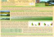 Habitat improvements with agronomic treatments for ... · Habitat improvements with agronomic treatments for ungulates in an area of central Italy Messeri A.1, Ponzetta M.2, Cervasio