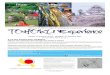 B1Poster Size:W728mm×H1030mm Iwate Miyagi Fukushima · Ke-sepuluh negara ASEAN dan Jepang menetapkan tahun 2013 sebagai tahun perayaan ke-40 hubungan persahabatan dan kerjasama antara