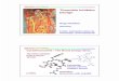 Thrombin Inhibitor Design - chem.uwec.edu Pharmacognosy 491/ Med Chem Lectures... · Hugo Kubinyi, Thrombin Inhibitor Design Hugo Kubinyi Germany E-Mail kubinyi@t-online.de HomePage