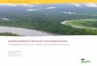 Indonesia’s forest moratorium - Center for International ... · UKL Upaya Pengelolaan Lingkungan (Environmental Management Plan) UNFCCC United Nations Framework Convention on Climate