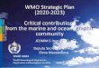 WMO Strategic Plan (2020-2023) Critical contributions from ...meetings.wmo.int/JCOMM-5/Presentations/DSG JCOMM-5 - 3.1(3) Strategic... · WMO Strategic Plan (2020-2023) Critical contributions