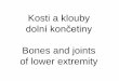 Kosti a klouby - anatomie.lf2.cuni.czanatomie.lf2.cuni.cz/files/page/files/2016/zobrazeni_kosti_a_kloubu... · facies glutea incisura ischiadica major ala ossis ilii crista iliaca