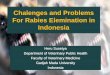 Chalenges and Problems For Rabies Elemination in Indonesia · Chalenges and Problems For Rabies Elemination in Indonesia Heru Susetya Department of Veterinary Public Health Faculty