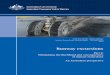 Runway excursions - Australian Transport Safety Bureau · ATSB TRANSPORT SAFETY REPORT Aviation Research and Analysis Report – AR-2008-018(2) Final Runway excursions Part 2: Minimising