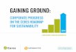 CorporAte proGress on the Ceres roAdmAp for sustAinAbility · This report, Gaining Ground: Corporate Progress on the Ceres Roadmap for Sustainability , evaluates how well 613 of the