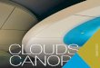CLOUDS CANOP - Ceilings from Armstrong · CLOUDS & CANOPIES TechLine 877 276-7876 armstrongceilings.com/formations 72 Cloud Type Description Formations Curves Soften and quiet any