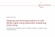 Shaping and homogenization of LED white light using ... · Shaping and Homogenization of LED White Light Using Aperiodic Scattering Cells Array Huiying Zhong, Roberto Knoth, Christian