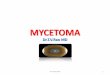 MYCETOMA - nu.edu.sd fileAetiological Agents of Mycetoma •More than 20 species of fungi and bacteria can cause mycetoma. The ratio of mycetoma cases caused by bacteria (actinomycetoma)
