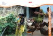 TOGETHER FOR COMMUNITIES · ACC Limited Registered Office Cement House 121, Maharshi Karve Road Mumbai 400 020, India. CSR Newsletter 2 April - June 2013 Backyard poultry farming