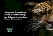 Jaguar Hunting and Trafficking in Mesoamerica… · WILDLIFE CONSERVATION SOCIETY • 4 In Mesoamerica there have been no comprehensive surveys of the extent of jaguar hunting or